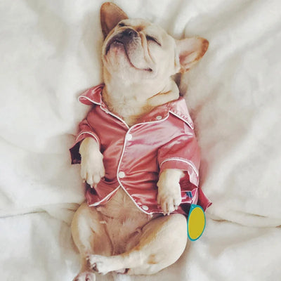 Luxury Pet Pajamas Coat