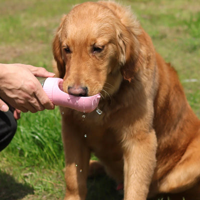 Portable Dog Water Bottle